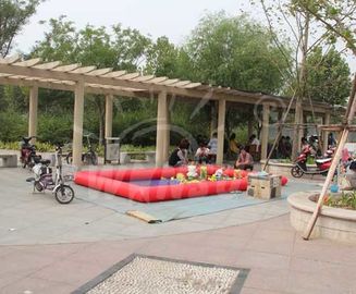 Çin Dev Şişme Yüzme Havuzu, Özel Boyutlu Çocuk Havuzu Fabrika