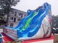 Örümcek - Festival Etkinlikleri İçin Suya Dayanıklı Erkek Ticari Şişme Slide Tedarikçi